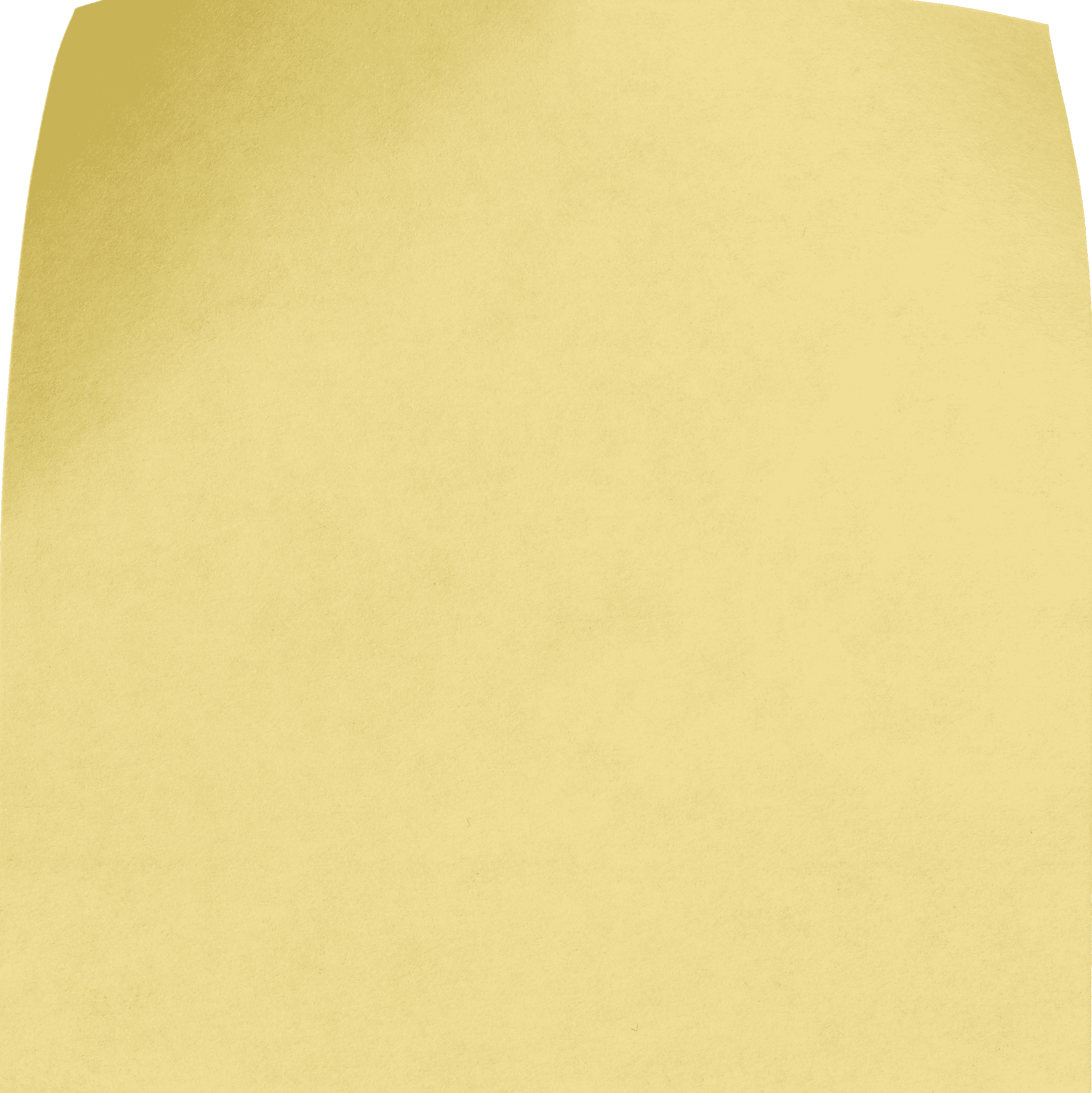 Packaging, Shelf & Launch